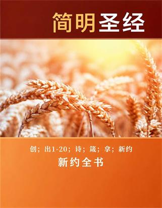 简明圣经封面